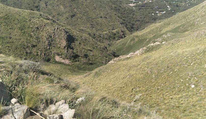 Campo 526