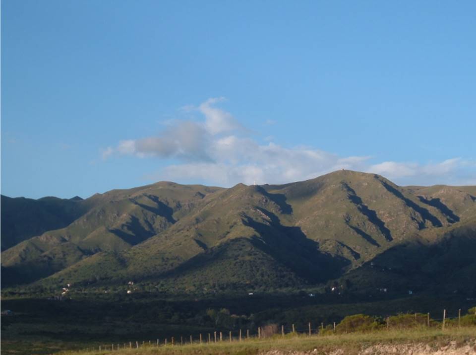 Campo 527
