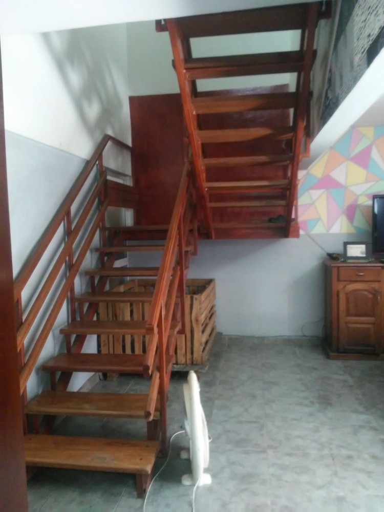 Campo 534