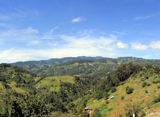 Campo 535