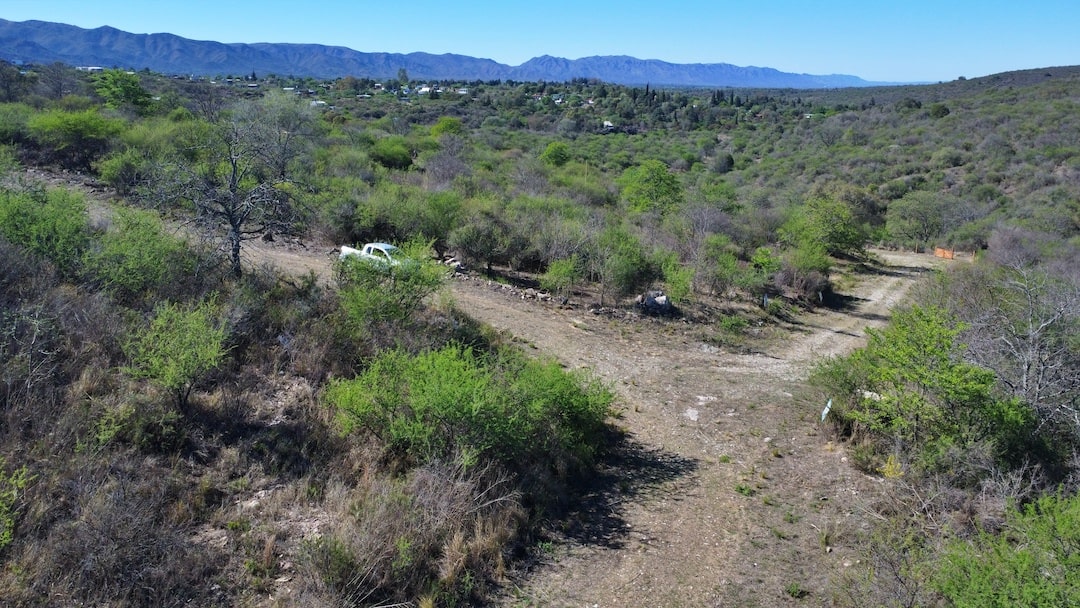 Campo 536