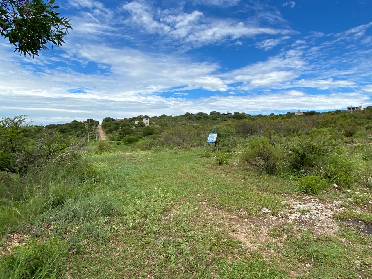Campo 537