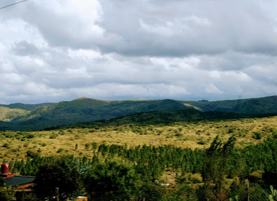 Campo 537