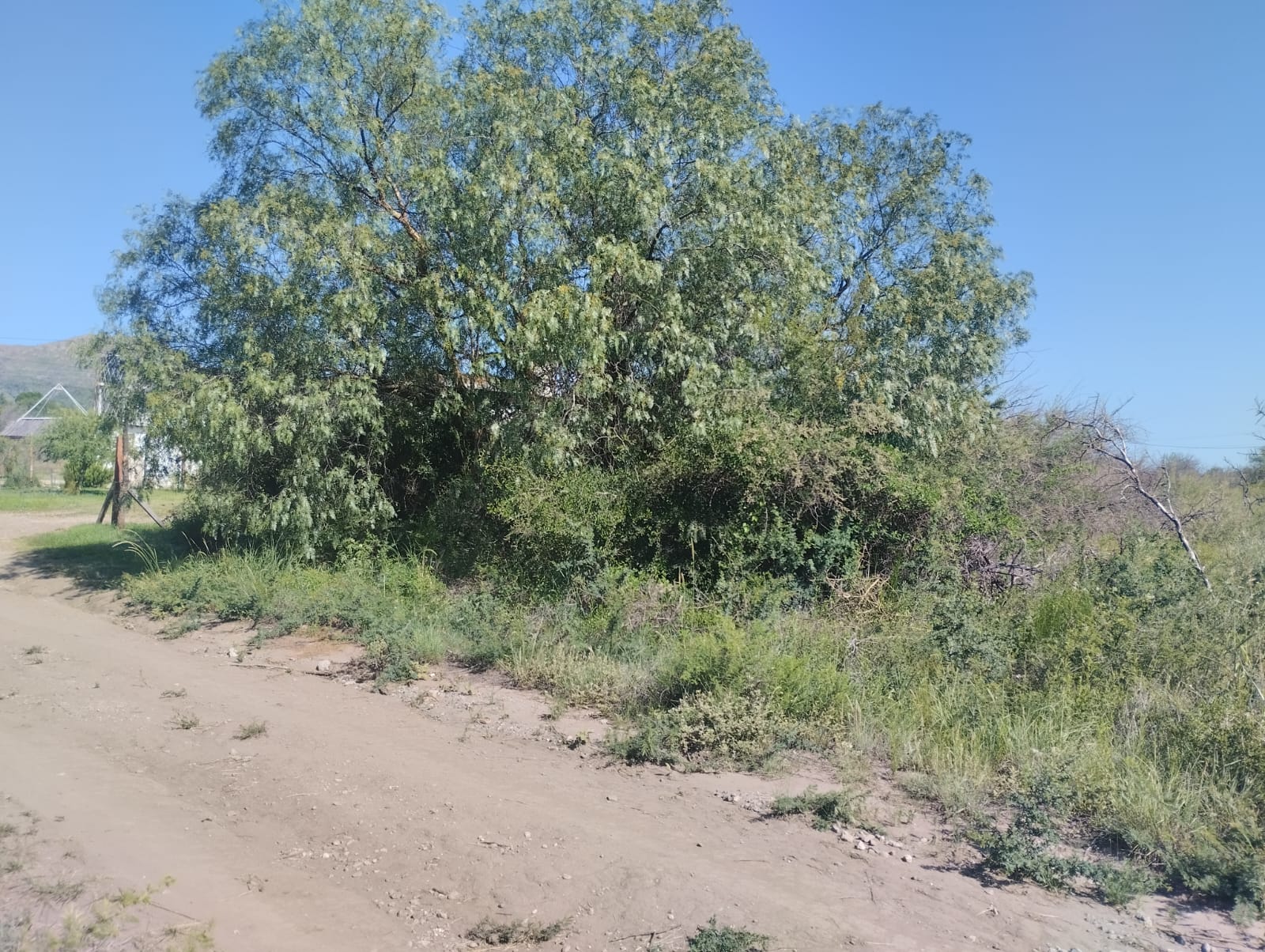 Campo 540